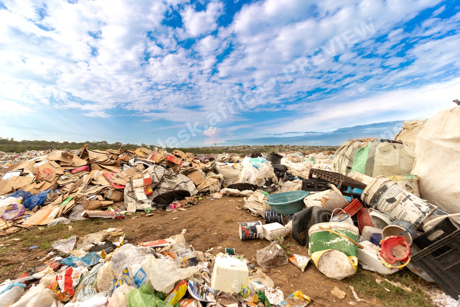 Sorted cardboard and plastic at the Nemato dumpsite, Eastern Cape