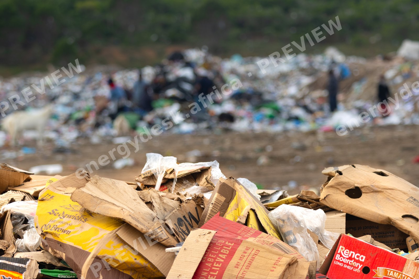 Waste pickers at work, Nemato dumpsite