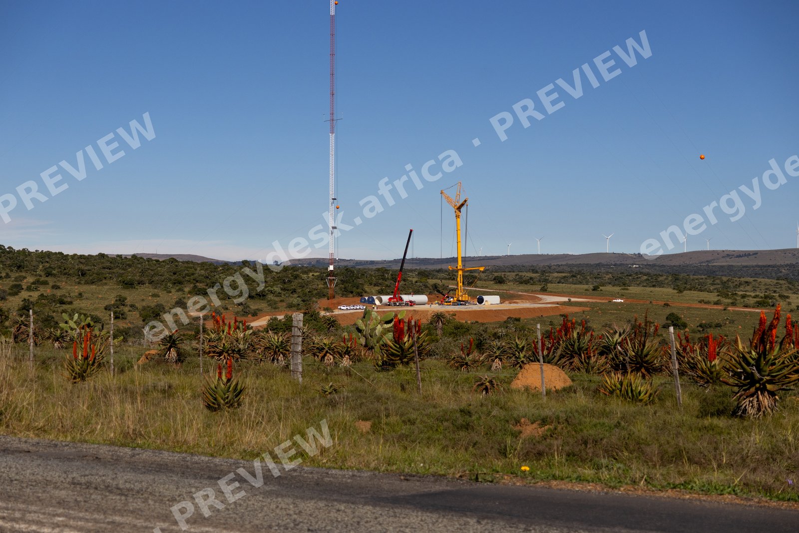 Wind Garden construction site from the R350, winter aloes in bloom