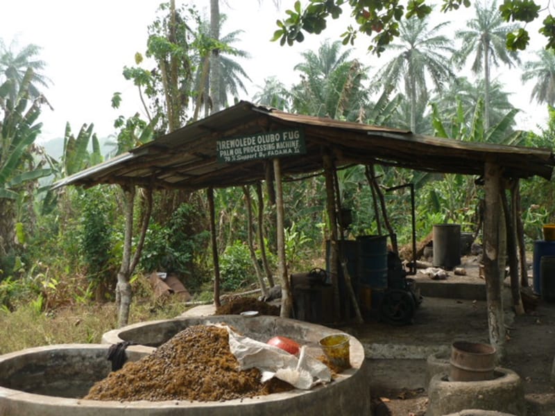 Who benefits from mini-grids in rural African communities? Evidence from southwest Nigeria